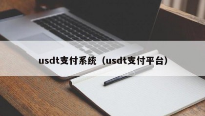 usdt支付系统（usdt支付平台）
